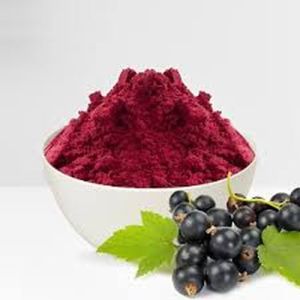 Black Currant Extract