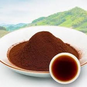 Black Tea Extract