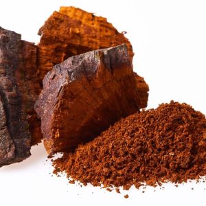 Chaga Mushroom Extract
