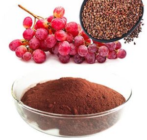 Grape Seed Extract