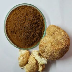 Lion\' Mane Mushroom Extract