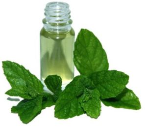 Menthol Herbal Extract Oil