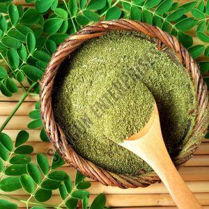 Green Moringa Powder