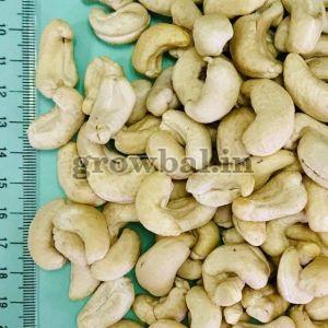 cashew nuts