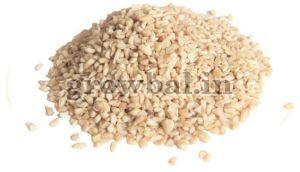 cashew nuts