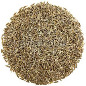Cumin Seeds