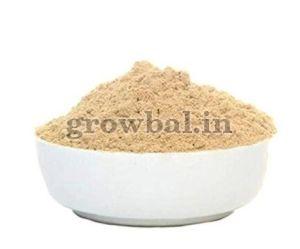 Dry Ginger Powder