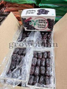 Kimia Dates