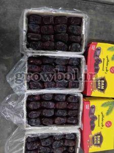 Mazafati Dates
