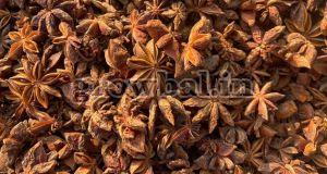 Star Anise Seeds