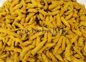 Turmeric Finger