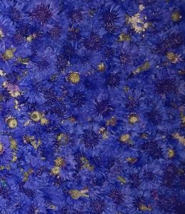 Blue Cornflowers