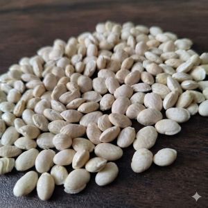 Large White Lima Beans (Kutch Origin)