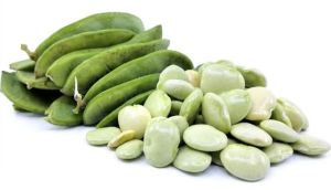 Large White Lima Beans (Kutch Origin)