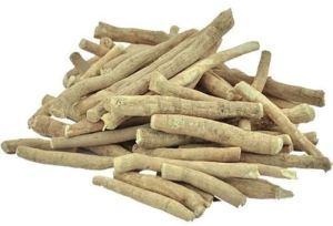 A Grade Pencil Ashwagandha Roots
