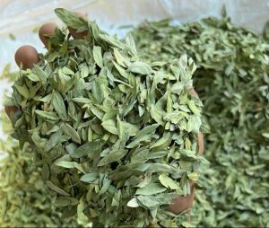 Dried Senna Leaves