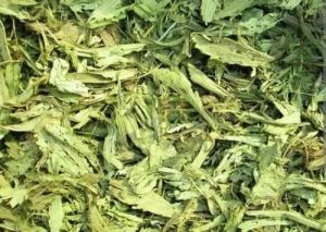 Stevia Leaves