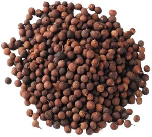 Vavading Seeds
