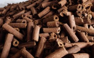 Biomass Cow Dung Briquettes