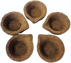 Sacred Cow Dung Diya