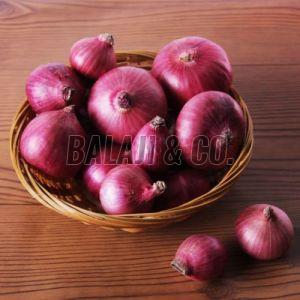 Fresh Red Onion