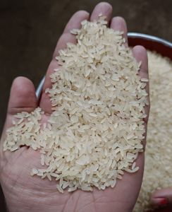 5 Percent Broken Parboiled Rice