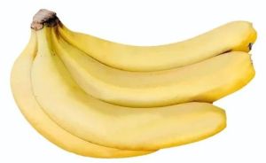 G9 Yellow Cavendish Banana