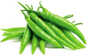 Jwala Fresh Green Chili