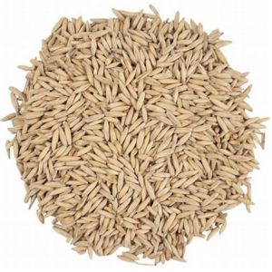 MTU 1010 Rice
