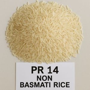 PR 14 Non Basmati Rice