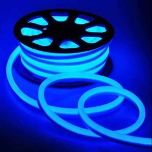 Neon LED Strip Light