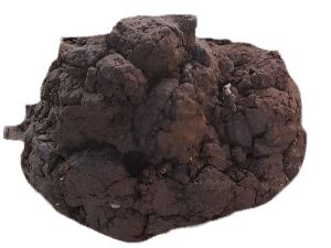 Fresh Cow Dung Manure