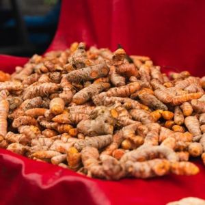Organic Turmeric Finger