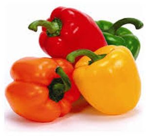 Fresh Capsicum