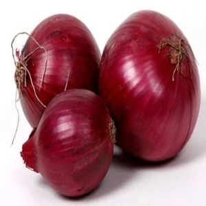Fresh Onion
