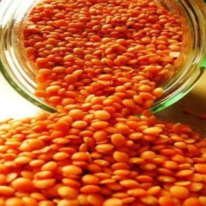 Red Lentils