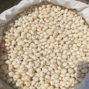 Raw Mix Phool Makhana