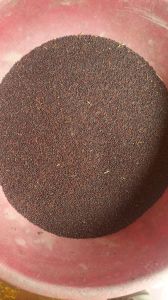 Black Mustard Seeds