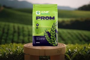 50 Kg Cnf Phosphate Rich Organic Manure