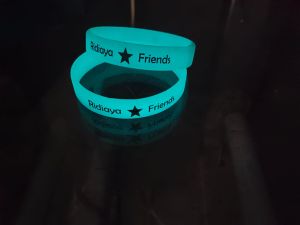 Silicone Night Glow Wristband