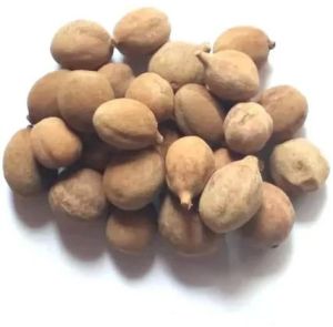 Dried Baheda Fruit