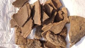 Dried Gambhari Bark