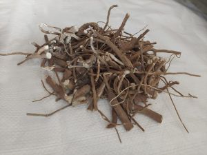 Dried Patala Root