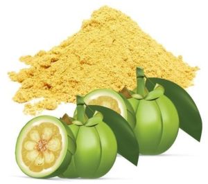 Garcinia Cambogia Powder Extract