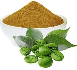 Green Coffee Beans Extract Powder