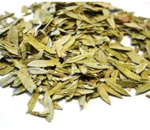 Organic Sonamukhi Senna Leaves