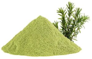 Rosemary Extract Powder