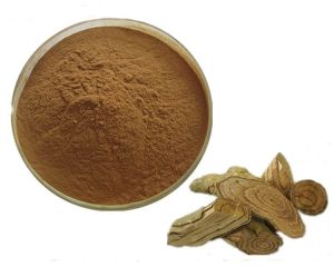 Salacia Herbal Extract Powder