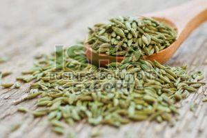 A Grade Green Fennel Seed