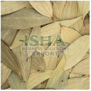 Bay Leaf